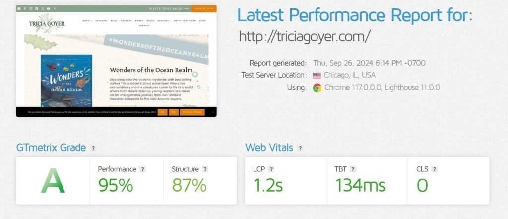 AFTER Tricia Goyer VIP DAY (One Day Website) REDESIGN